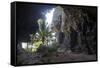 Little chapel in the grey Lekiny cliffs, Ouvea, Loyalty Islands, New Caledonia, Pacific-Michael Runkel-Framed Stretched Canvas