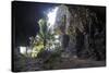 Little chapel in the grey Lekiny cliffs, Ouvea, Loyalty Islands, New Caledonia, Pacific-Michael Runkel-Stretched Canvas