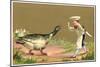 Little Chef Luring Goose-null-Mounted Art Print