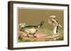 Little Chef Luring Goose-null-Framed Premium Giclee Print