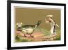 Little Chef Luring Goose-null-Framed Art Print