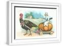 White Frame