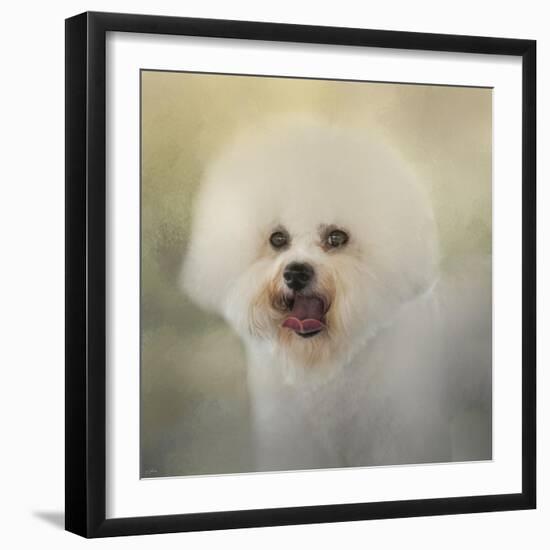 Little Cotton Ball Bichon Frise-Jai Johnson-Framed Giclee Print