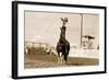 Little Cowgirl Trick Roping-null-Framed Art Print