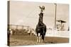 Little Cowgirl Trick Roping-null-Stretched Canvas