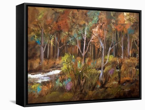 Little Creek Down In The Woods-Ruth Palmer-Framed Stretched Canvas