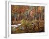 Little Creek Down In The Woods-Ruth Palmer-Framed Art Print