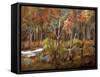 Little Creek Down In The Woods-Ruth Palmer-Framed Stretched Canvas
