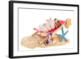 Little Cute Beach Puppy Resting In Chair-Ivonnewierink-Framed Photographic Print