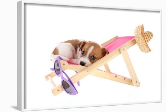 Little Cute Beach Puppy Resting In Chair-Ivonnewierink-Framed Photographic Print