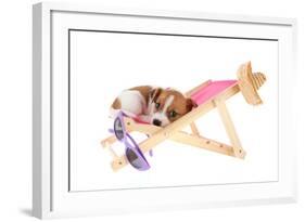 Little Cute Beach Puppy Resting In Chair-Ivonnewierink-Framed Photographic Print