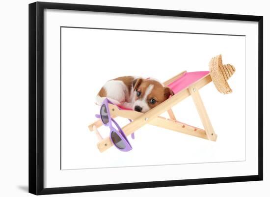 Little Cute Beach Puppy Resting In Chair-Ivonnewierink-Framed Photographic Print