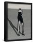Essential Black