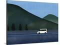 Stretched Canvas