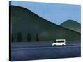 Stretched Canvas
