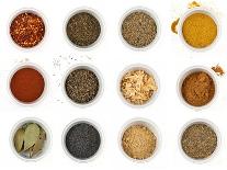 Spices-Little_Desire-Art Print