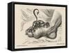 Little Devil Sinks His Teeth into the Swollen Foot of a Gout Sufferer-James Gillray-Framed Stretched Canvas