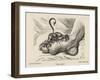 Little Devil Sinks His Teeth into the Swollen Foot of a Gout Sufferer-James Gillray-Framed Art Print