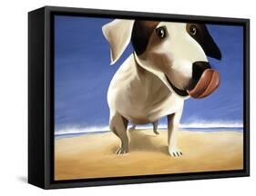 Little Dog-Mark Ulriksen-Framed Stretched Canvas