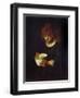 Little Dormouse-Frank Huddlestone Potter-Framed Giclee Print