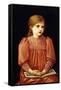 Little Dorothy Mattersdorf, 1893-Edward Burne-Jones-Framed Stretched Canvas