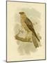 Little Eagle, 1891-Gracius Broinowski-Mounted Giclee Print