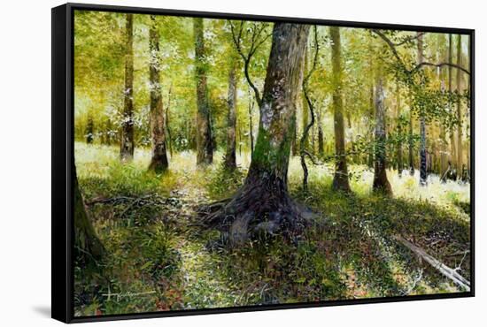 Little Econ River-Kent Sullivan-Framed Stretched Canvas