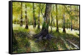 Little Econ River-Kent Sullivan-Framed Stretched Canvas