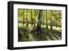 Little Econ River-Kent Sullivan-Framed Art Print