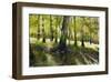 Little Econ River-Kent Sullivan-Framed Art Print