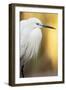 Little Egret - Left-Staffan Widstrand-Framed Giclee Print