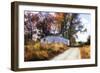 Little Eldon Road-Alan Hausenflock-Framed Photographic Print