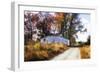 Little Eldon Road-Alan Hausenflock-Framed Photographic Print