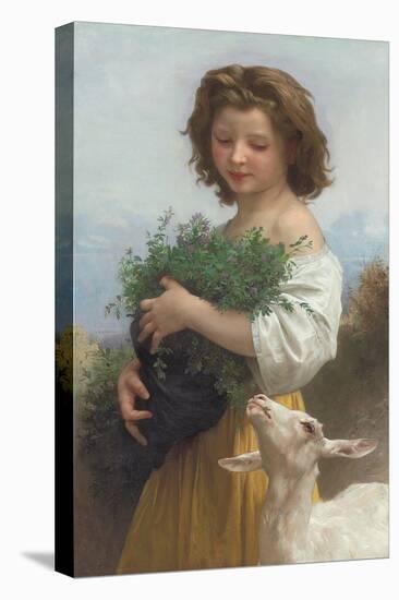 Little Esmeralda; La Petite Esmeralda, 1874 (Oil on Canvas)-William-Adolphe Bouguereau-Stretched Canvas