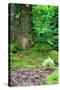 Little Fairy Tale Door in a Tree Trunk.-Hannamariah-Stretched Canvas