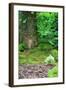 Little Fairy Tale Door in a Tree Trunk.-Hannamariah-Framed Photographic Print