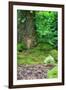 Little Fairy Tale Door in a Tree Trunk.-Hannamariah-Framed Photographic Print