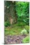 Little Fairy Tale Door in a Tree Trunk.-Hannamariah-Mounted Photographic Print