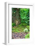 Little Fairy Tale Door in a Tree Trunk.-Hannamariah-Framed Photographic Print