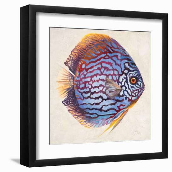 Little Fish I-Patricia Pinto-Framed Art Print