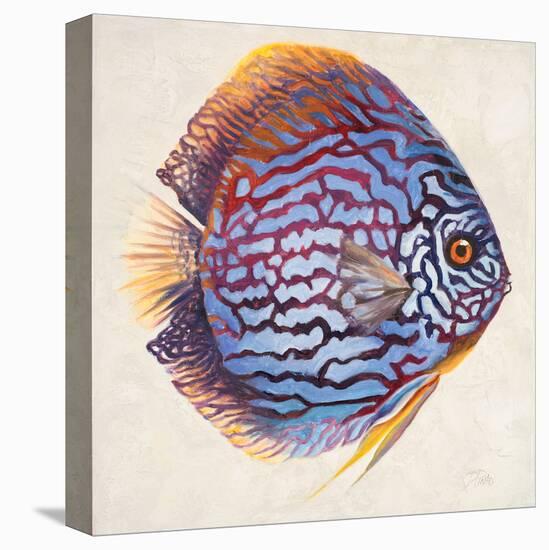 Little Fish I-Patricia Pinto-Stretched Canvas