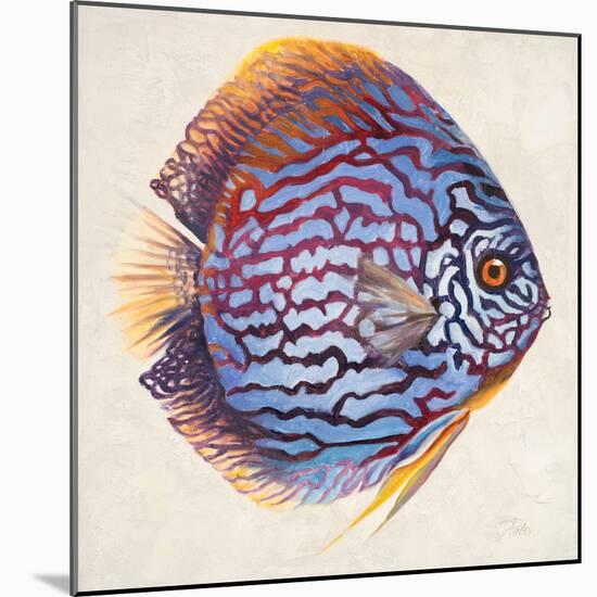 Little Fish I-Patricia Pinto-Mounted Art Print