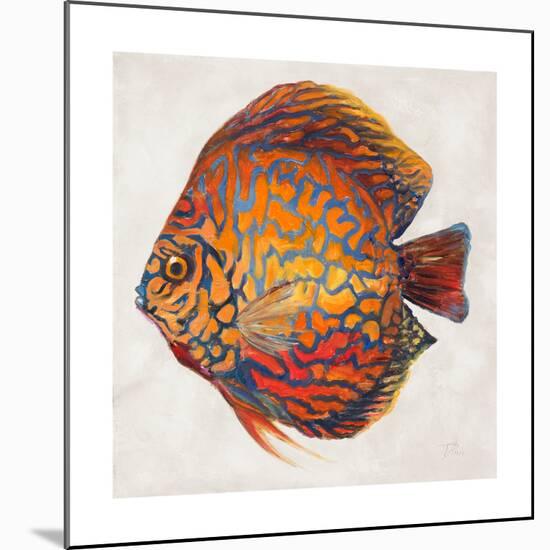 Little Fish II-Patricia Pinto-Mounted Premium Giclee Print