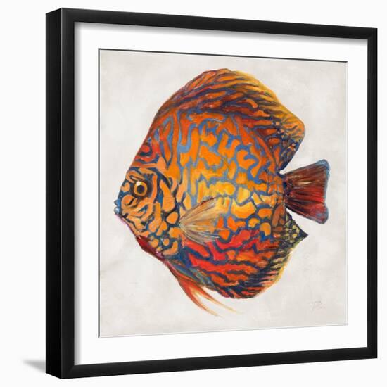 Little Fish II-Patricia Pinto-Framed Art Print