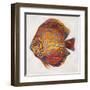 Little Fish II-Patricia Pinto-Framed Art Print