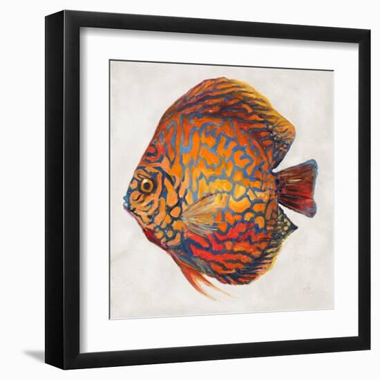 Little Fish II-Patricia Pinto-Framed Art Print