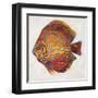 Little Fish II-Patricia Pinto-Framed Art Print