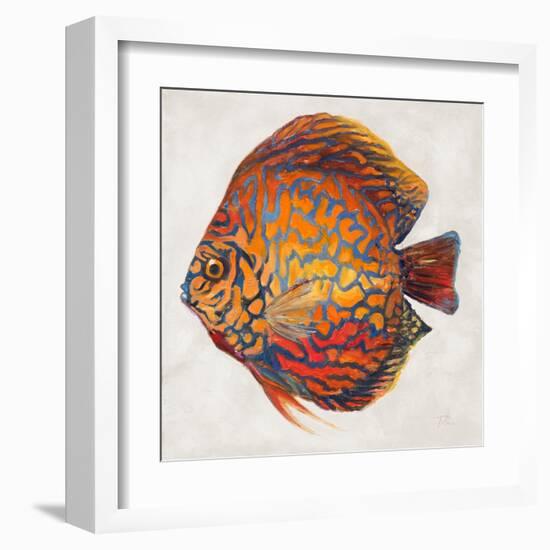 Little Fish II-Patricia Pinto-Framed Art Print