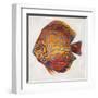 Little Fish II-Patricia Pinto-Framed Art Print