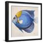 Little Fish III-Patricia Pinto-Framed Premium Giclee Print